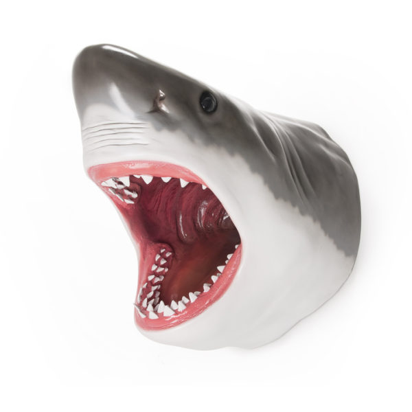 Great White Shark Väggprydnad