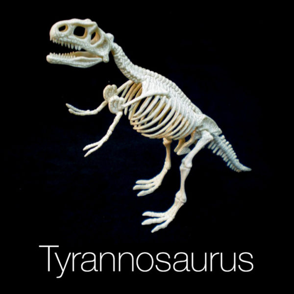 Dinosaur Utgrävningsset Tyrannosaurus